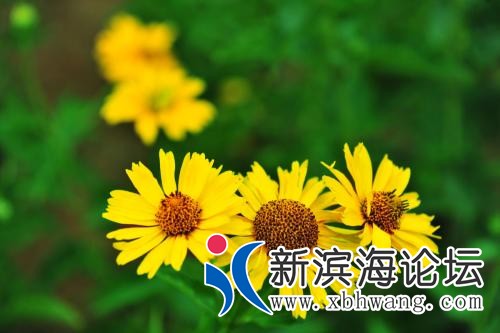 u=4272386851,52254485&amp;fm=200&amp;gp=0.jpg
