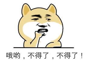 下载.jpg