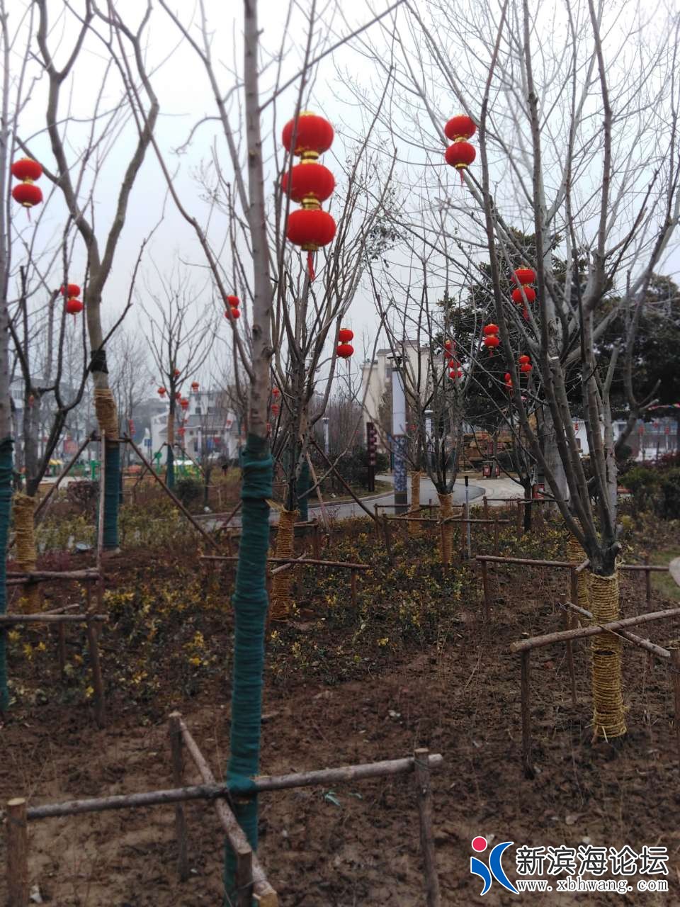 20190120_63631_1547950147654.jpg