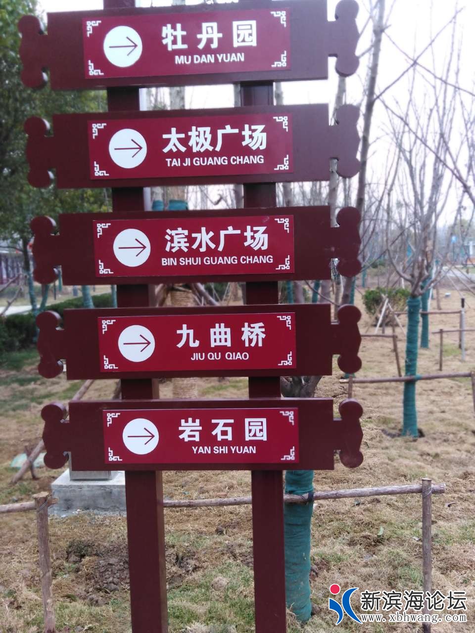 20190120_63631_1547950148599.jpg