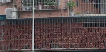 微信图片_20190121110335.gif
