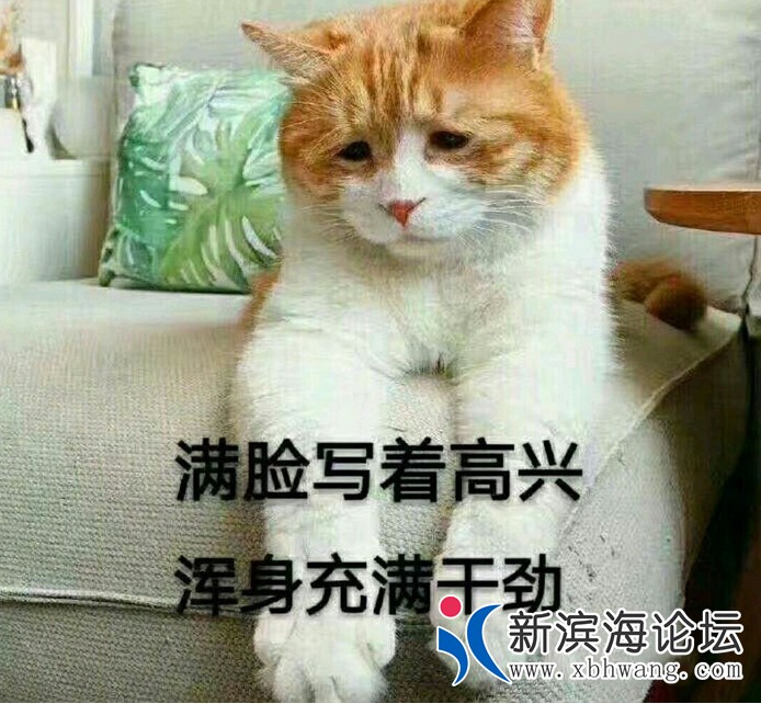 090635s1s2l9fcg0ad1d82.jpg