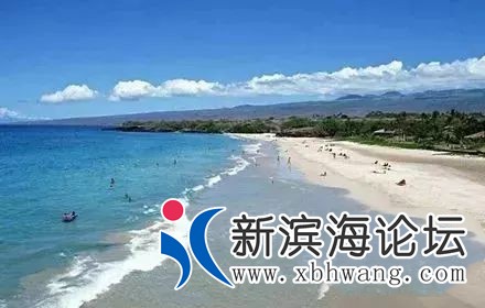 100330metbk6it28m8bfet.jpg