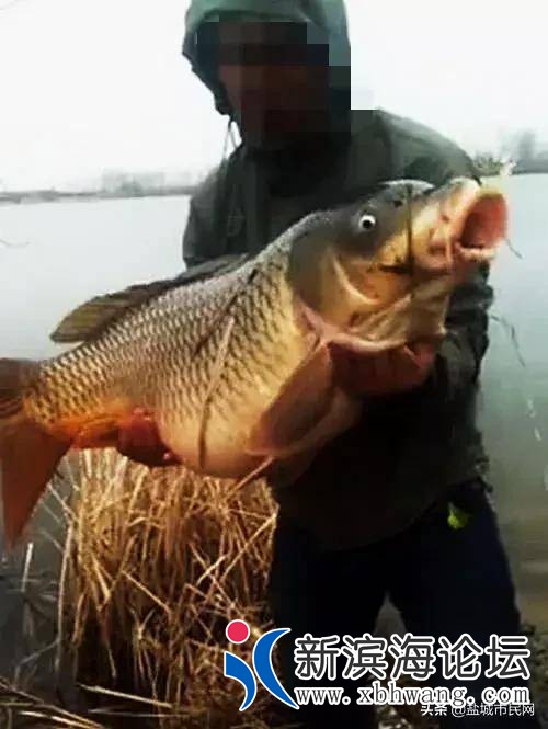 151801lzyszdoy8sv8kg23.jpg.thumb.jpg