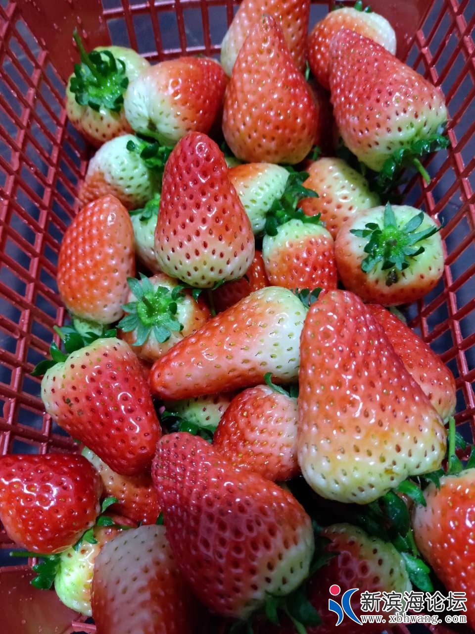 20190206_45063_1549446784709.jpg