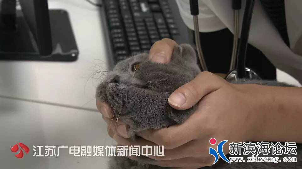 20190227_15974_1551234116642.png