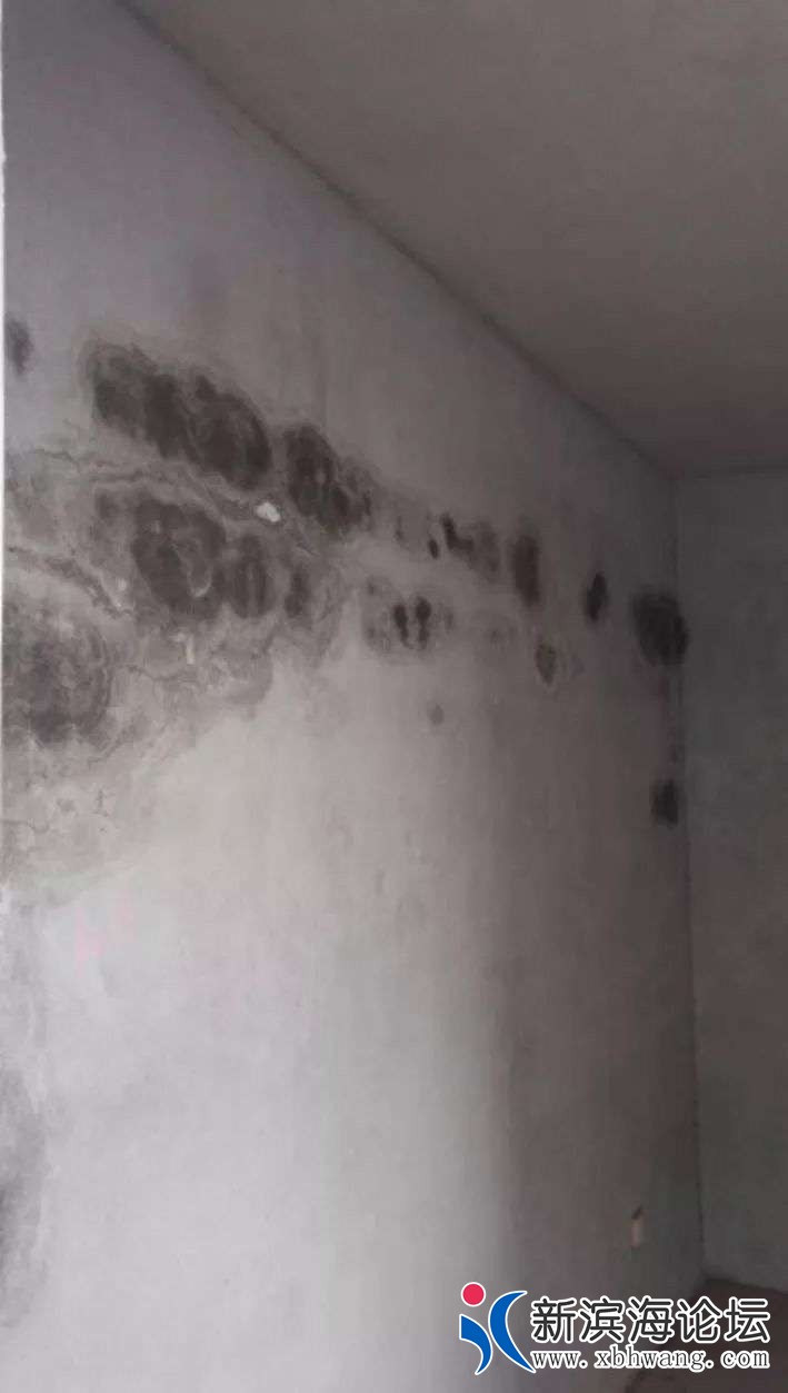 20190321_63883_1553127553898.jpg