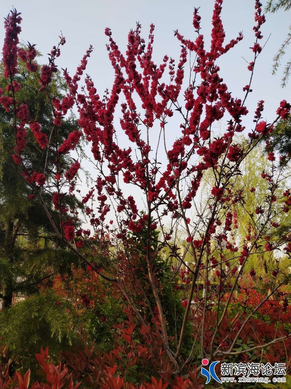 20190408_63777_1554714405049.jpg