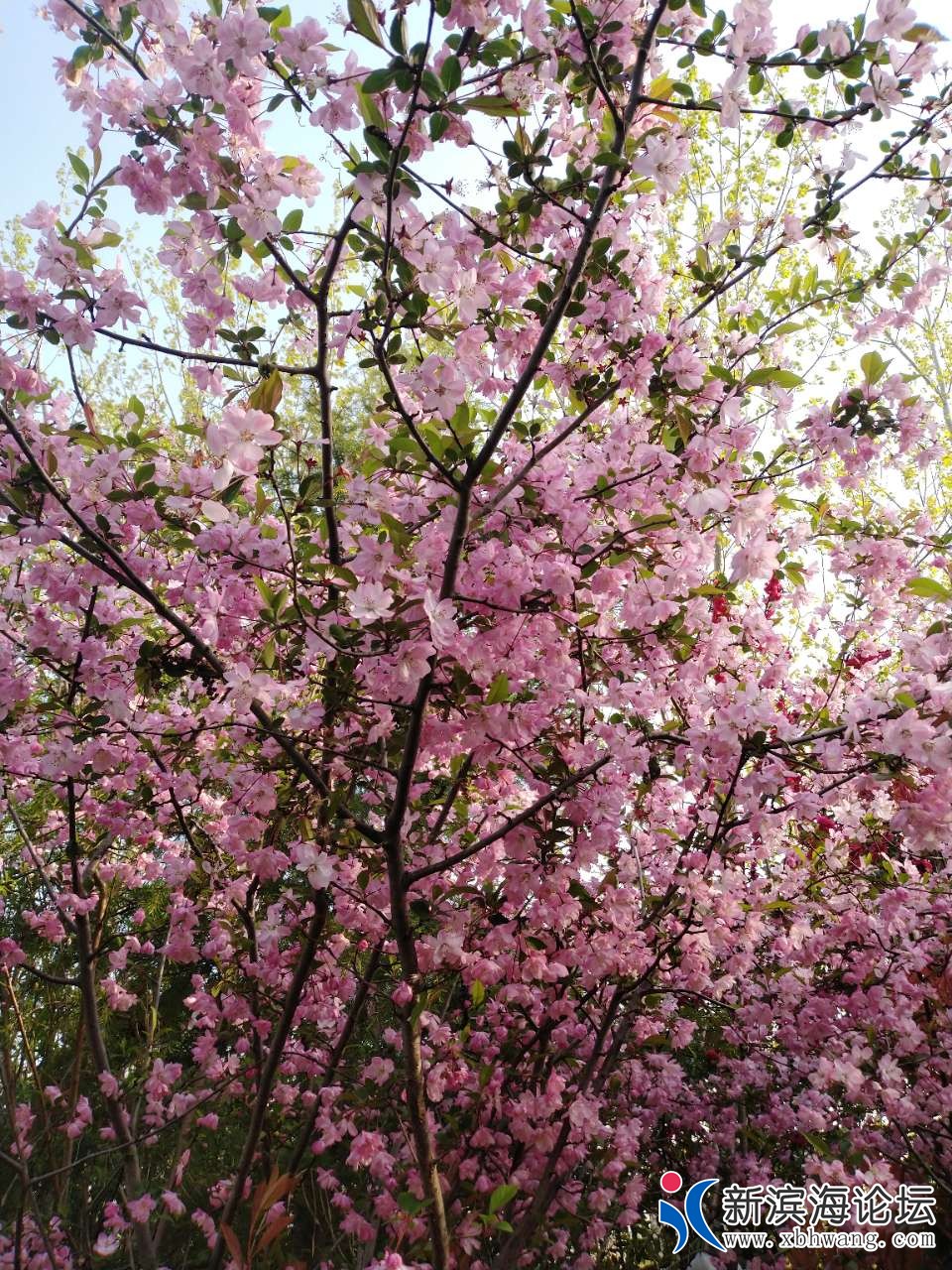 20190408_63777_1554714404561.jpg
