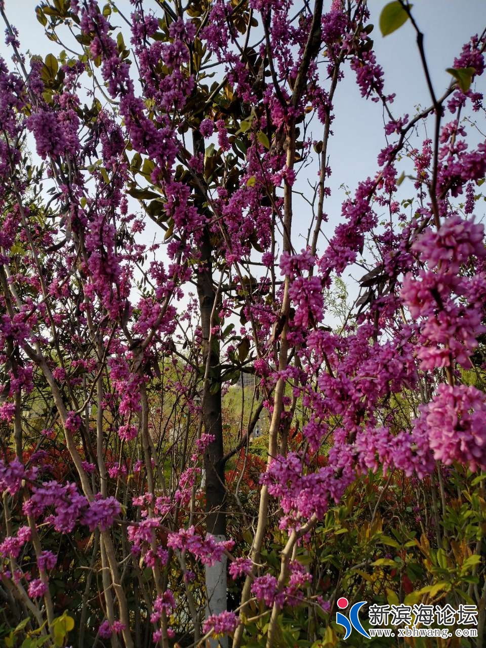 20190408_63777_1554714969795.jpg