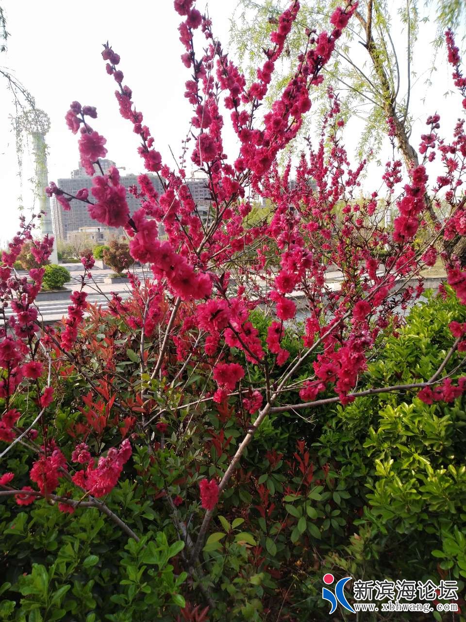 20190408_63777_1554714969341.jpg