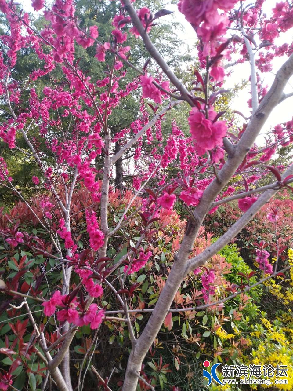 20190408_63777_1554714970265.jpg