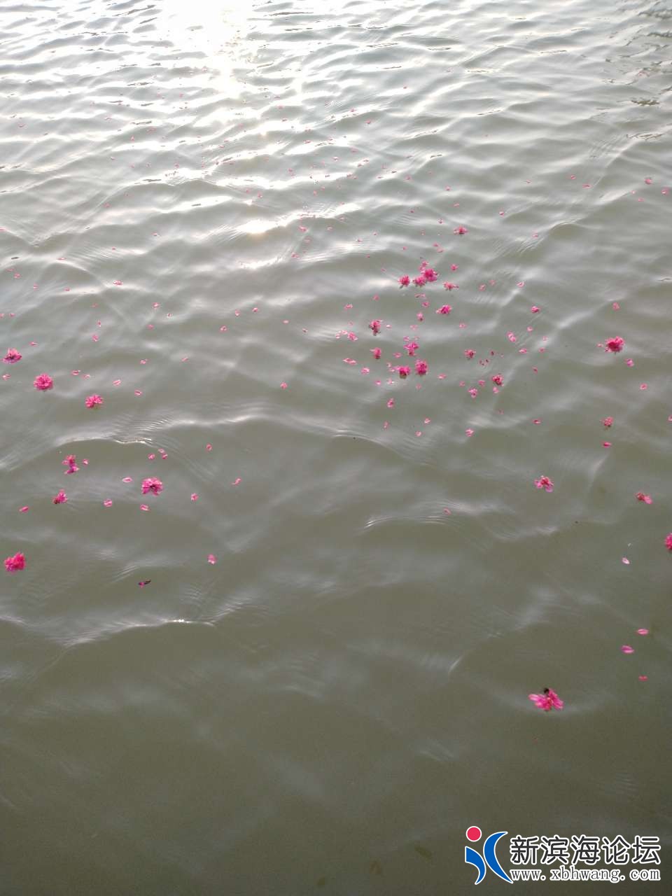 20190408_63777_1554715954644.jpg