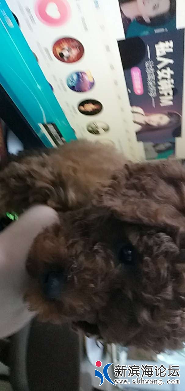 20190528_91402_1559038194853.jpg