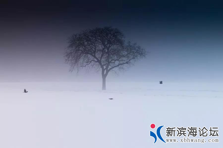 微信图片_20190622105013.jpg