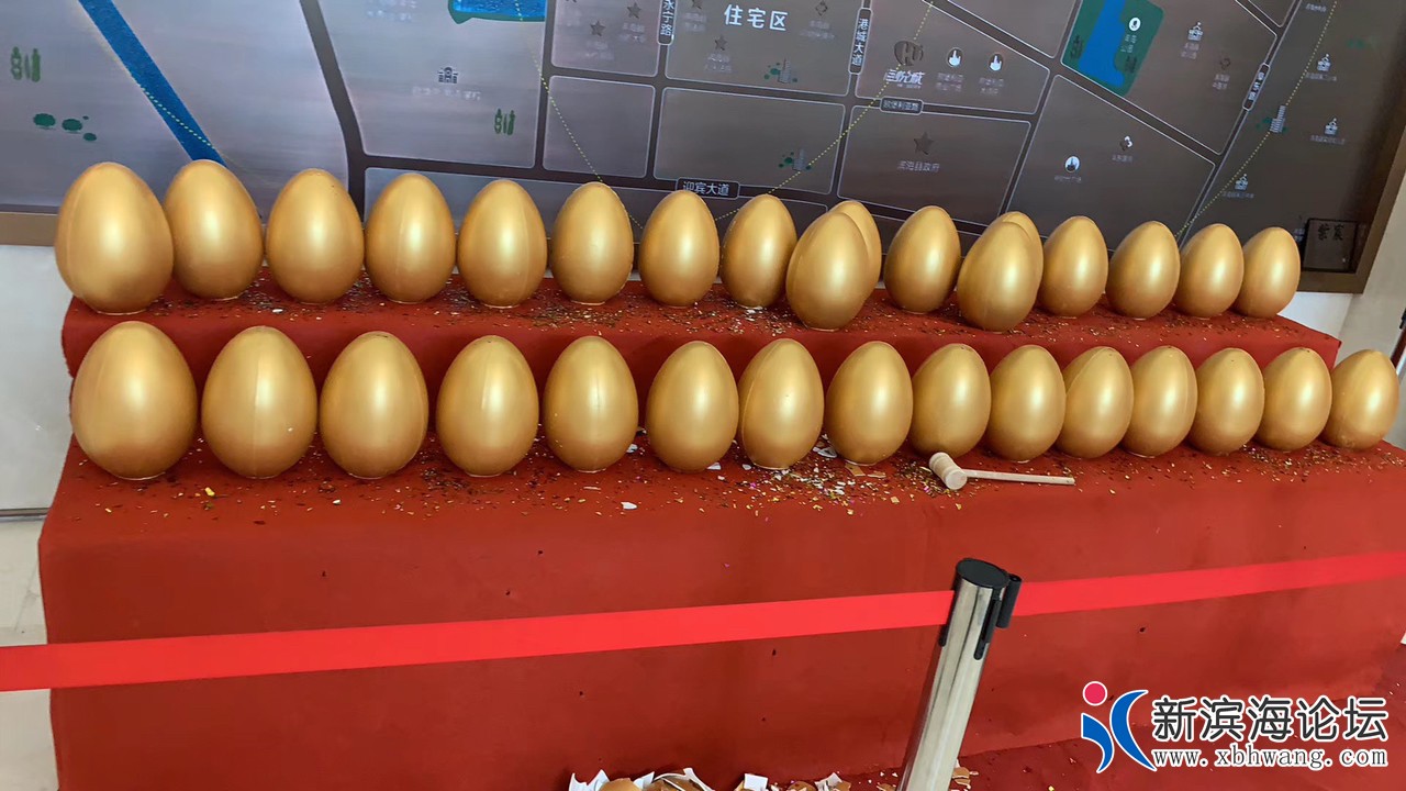 20190705507451562336237198711.jpg