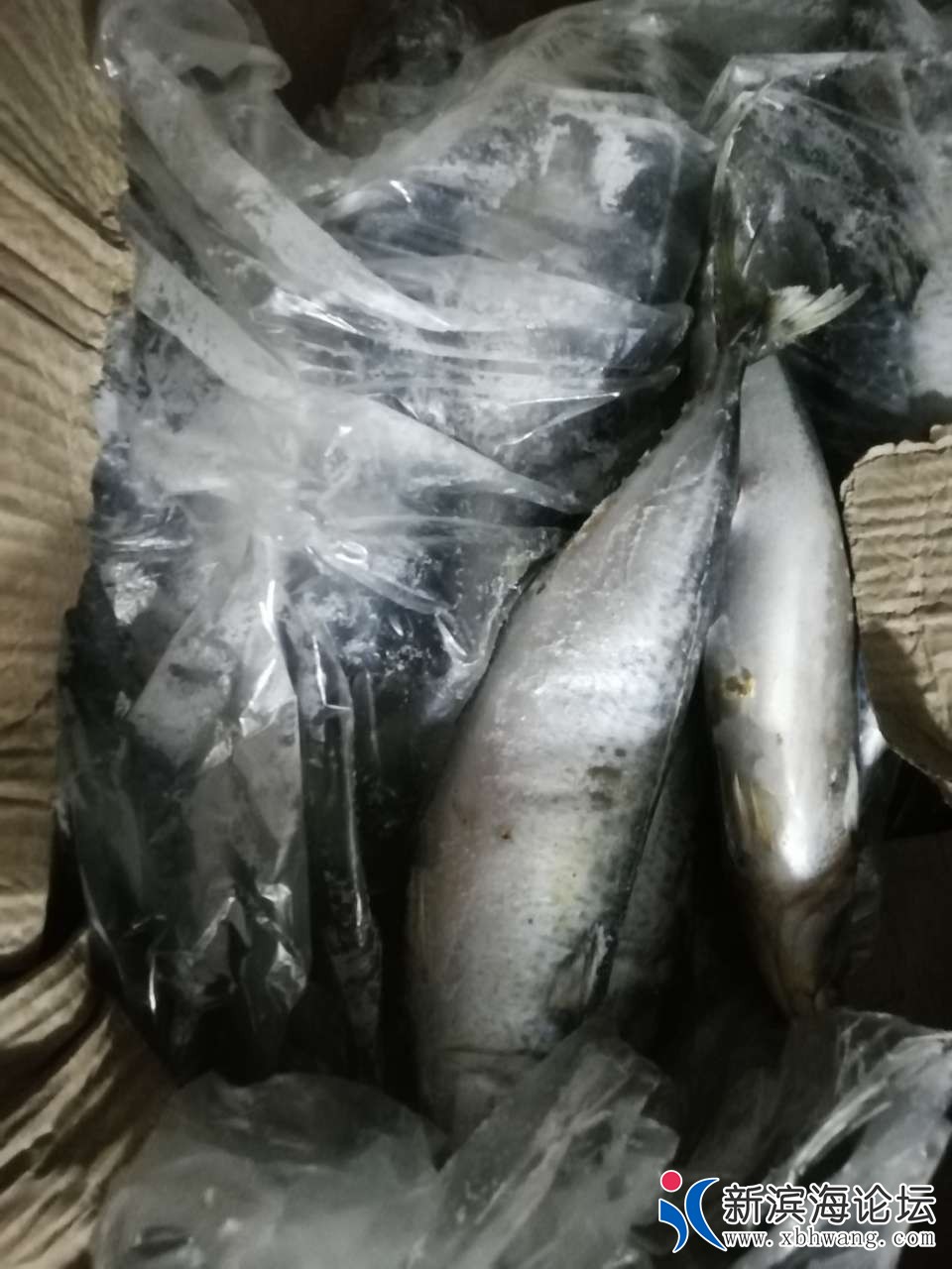 20191016_65241_1571194740253.jpg