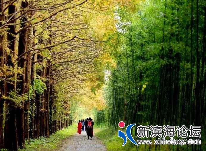 微信图片_20191103093400 - 副本.jpg