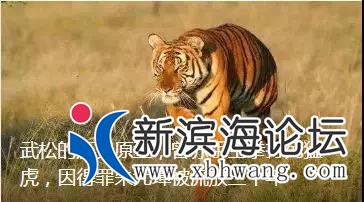 微信图片_20191111160430 - 副本.jpg