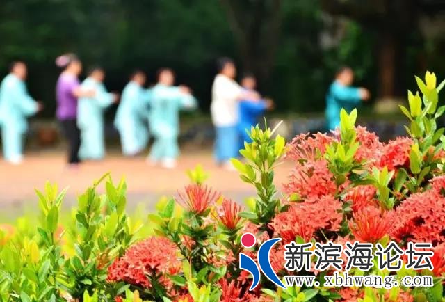 微信图片_20191115093239.jpg