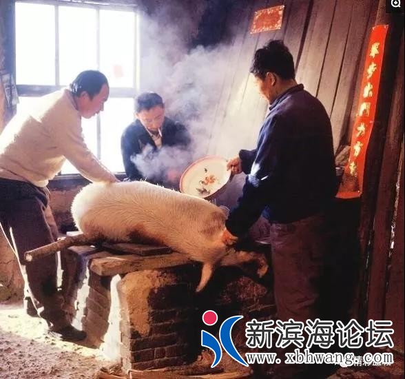 微信图片_20191208171745 - 副本.jpg