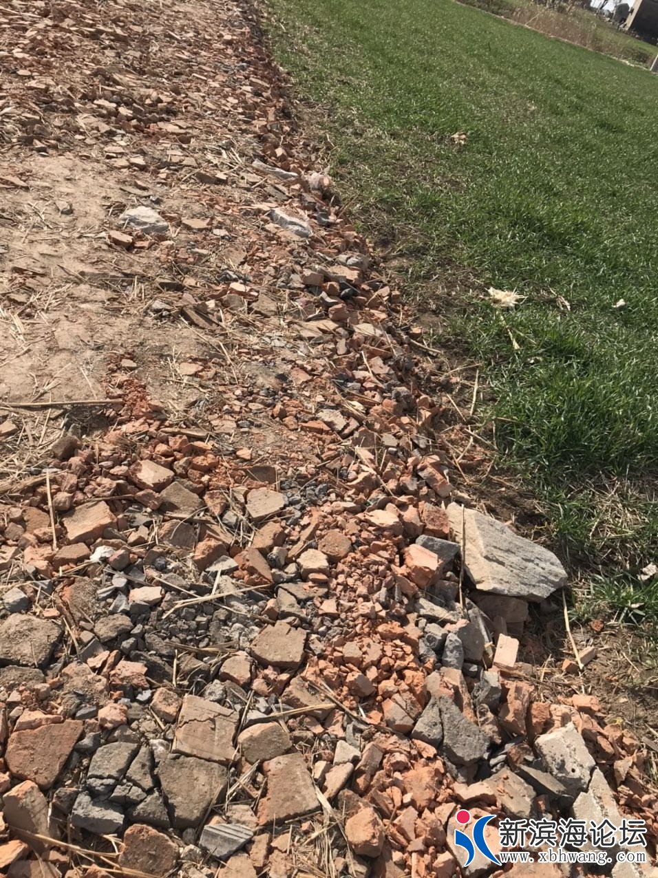 微信图片_20191231160324_看图王 - 副本.jpg