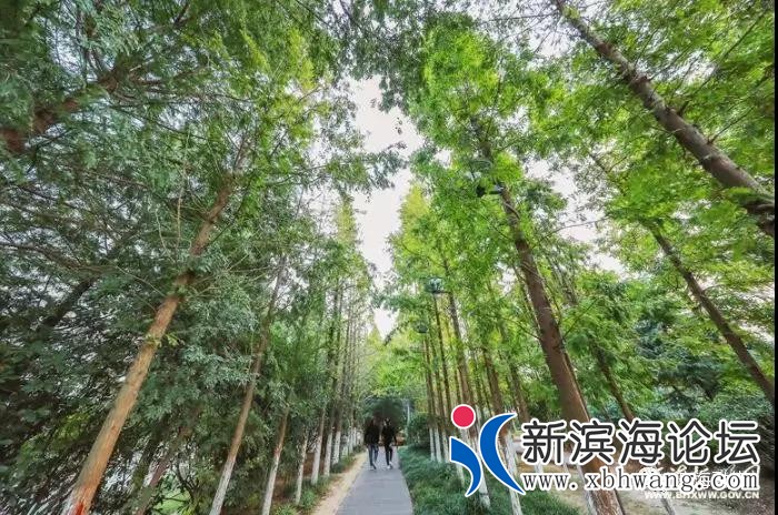 微信图片_20200118101924 - 副本.jpg