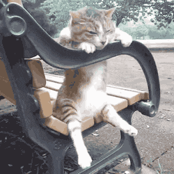 20200613_96622_1592021474612.gif