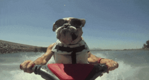 20200708_96622_1594192244121.gif