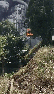 微信图片_20200712153502.gif