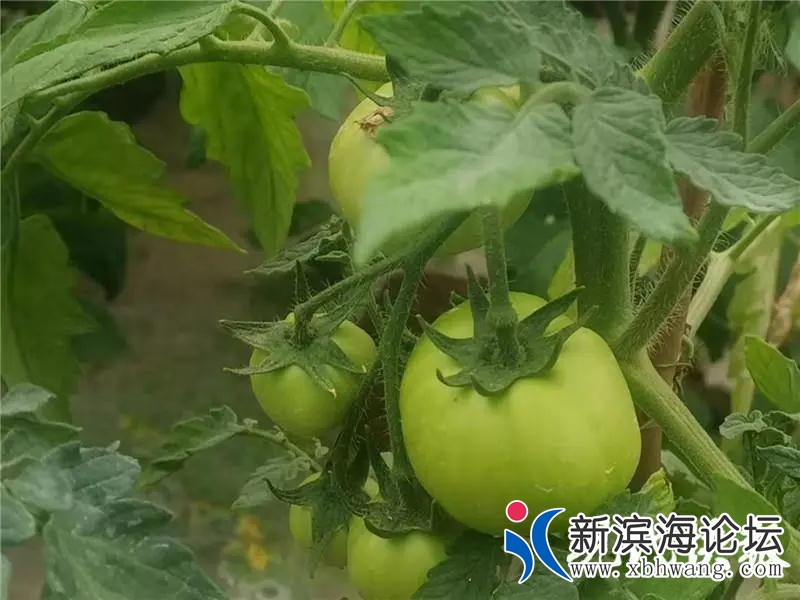微信图片_20200717164911.jpg