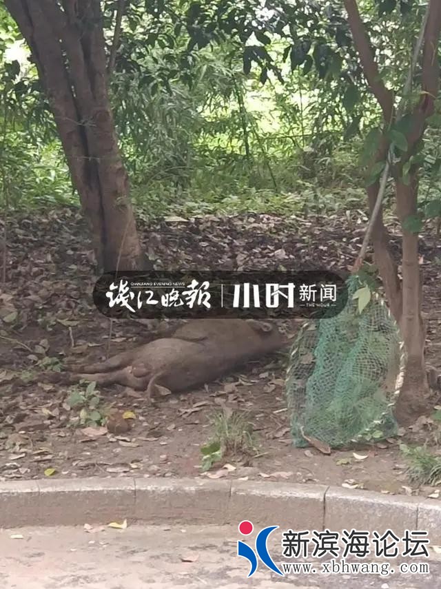 微信图片_20200718143242.jpg