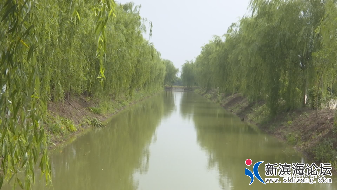 微信图片_20200720082729.png