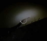 微信图片_20200720100959.gif