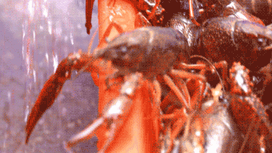 微信图片_20200720101312.gif