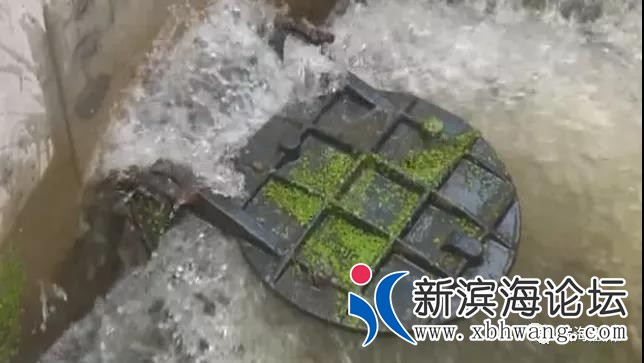 微信图片_20200721090211.jpg