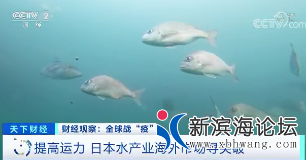 微信图片_20200722094238.png