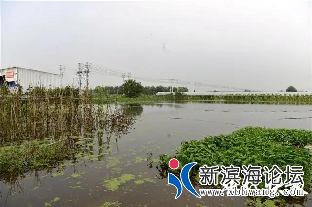 微信图片_20200722100604.jpg