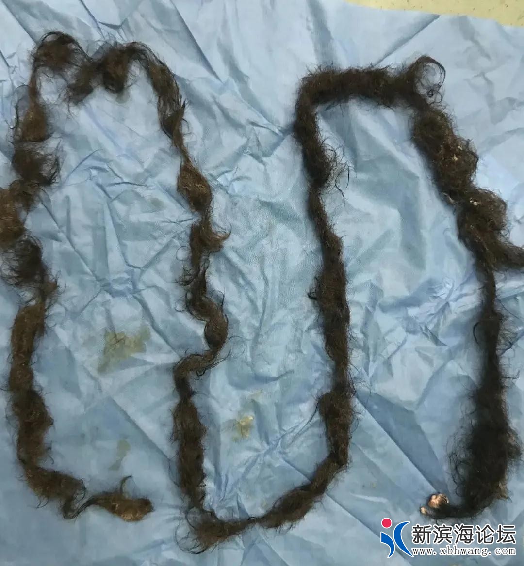 微信图片_20200722104121.jpg