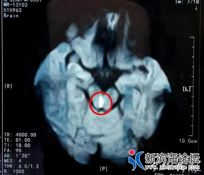 微信图片_20200722150050.jpg
