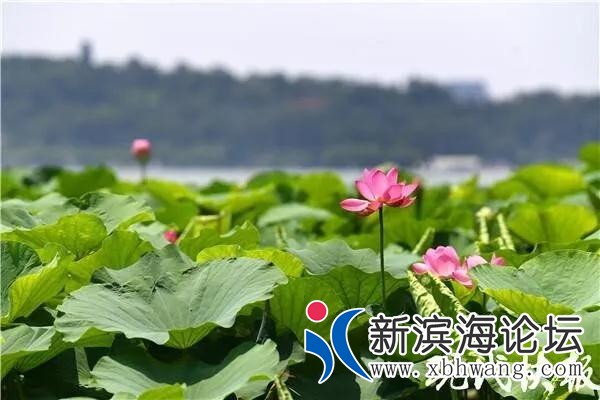 微信图片_20200723094630.jpg