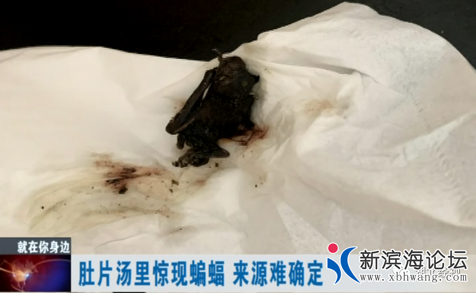 微信图片_20200723095852.png