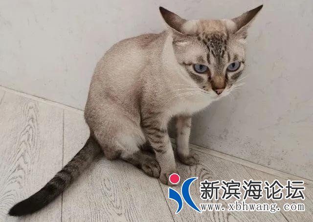 微信图片_20200724100833.jpg