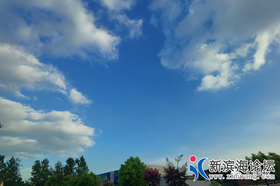 微信图片_20200725082700.png