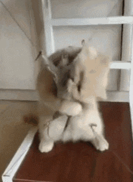 20200725_96622_1595658479461.gif