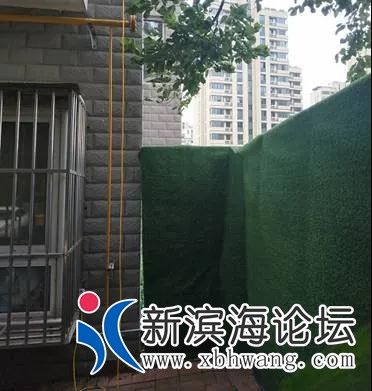微信图片_20200728095306.jpg