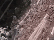 微信图片_20200729093549.gif