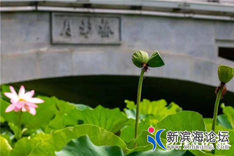 微信图片_20200730160648.jpg