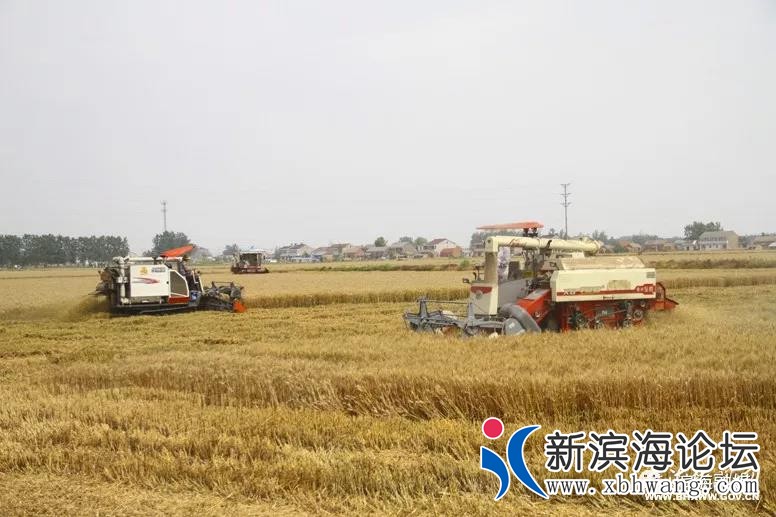 微信图片_20200803080851.jpg