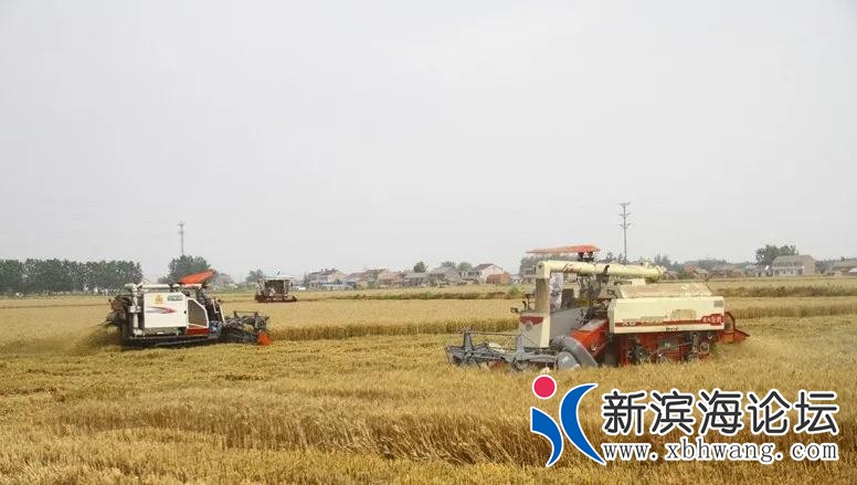 微信图片_20200803094204.jpg